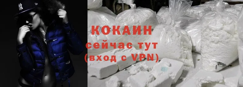 Cocaine Fish Scale  купить наркотики сайты  Новозыбков 